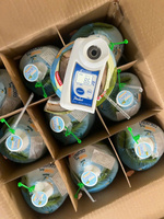 Verse Jonge Kokosnoot Brix 7-9 Kokoswater Diamant Vorm Kokosnoot Klaar Om Te Exporteren Uit Vietnam
