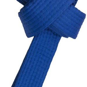 Cinturón de Karate de Artes Marciales Personalizado Nuevo 2025 - Cinturón de Entrenamiento Unisex para Adultos de Alta Calidad, Transpirable y de Secado Rápido, Hecho de Spandex/Poliéster - Product Image 6