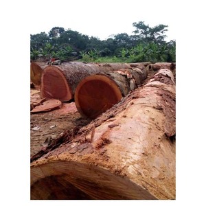 Azobe Wood <b>Logs</b> Premium Hardwood, Durable and Heavy-Duty for Construction - Product Image 3