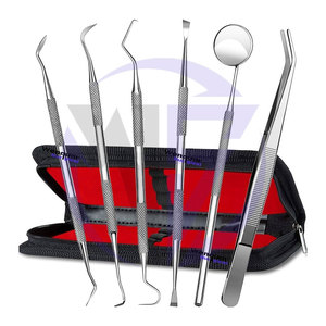 Nouveauté : Kit de 6 outils dentaires en acier inoxydable pour l'élimination du tartre et des taches, qualité supérieure, présenté dans un étui zippé. - Product Image 2