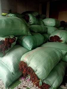 ขายส่งอินทรีย์กลุ่มเวียดนามแห้ง Sargassum สาหร่ายที่มีคุณภาพสูง - Product Image 4
