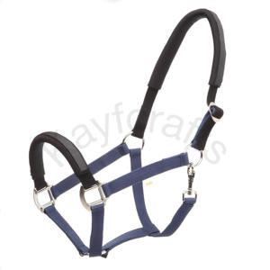 Cabestro DE SEGURIDAD elástico con relleno de neopreno extraíble y herrajes de acero inoxidable - Product Image 3