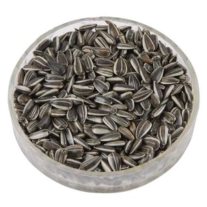 Graines de tournesol séchées brutes, graines d'huile noires, en vrac, pour l'alimentation humaine et la nourriture des oiseaux, collation agricole - Product Image 4