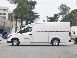 Véhicule électrique d'occasion 2025 – Véhicule électrique utilitaire Golden Cargo 2025, autonomie CLTC 345 km, fourgonnette 3050x1605x1565mm - Product Image 3