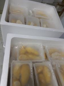 ทุเรียนแช่แข็งคุณภาพพรีเมี่ยมจาก2025ผลิตในเวียดนาม - Product Image 5