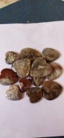 Harga Grosir Premium Batu Alba Gems Natural Yellow Light Crazy Lace Agate Potongan Hati 10mm-50mm 100gr-100kg untuk Pembuatan Perhiasan