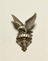 Insignia de Paracaidista de Bronce Vintage con Diseño de Águila |   Insignia Táctica Personalizada de Aleación de Zinc 3D con Esmalte Suave y Acabado Arenado para Coleccionistas y Uniformes |