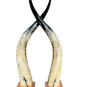 Juego de Cuernos de Buey Decorativos con Incrustaciones de Ágata - Decoración Rústica Ecológica de Estilo Animal/Náutico para Sala de Estar y Dormitorio - Product Image 4
