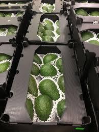 แผ่นพลาสติกลูกฟูกโพรพิลีนแผ่นพลาสติกลูกฟูก - Product Image 2