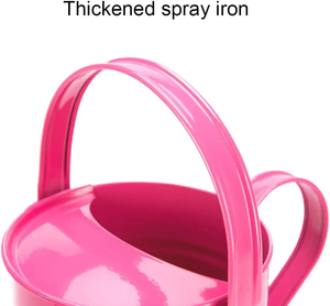 Fabricant direct en gros en vrac fait à la main en acier massif arrosoir hexagonal personnalisable pour une utilisation intérieure extérieure Design unique - Product Image 6