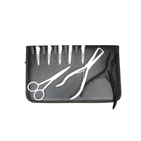 Nouvel ensemble professionnel de pinces à extensions capillaires en acier inoxydable à maintien robuste, avec outil de retrait de perles et étui de luxe - REVAMP