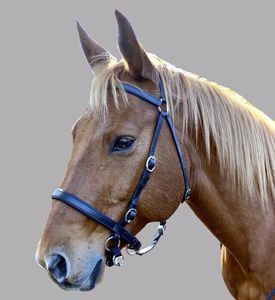 Cheval en cuir Stockhorse Bitless Bride Flash Noir Marron CHEVAL BRIDLE DELUXE ANATOMIQUE EN CUIR ÉLEVÉ - Product Image 1