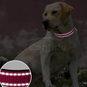 Collar Resistente para Mascotas con Hebilla Fuerte, Correa Ajustable, Diseño de Tela Transpirable, para Mascotas Grandes, Medianas y Pequeñas, Uso Diario, Accesorios para Mascotas - Product Image 4