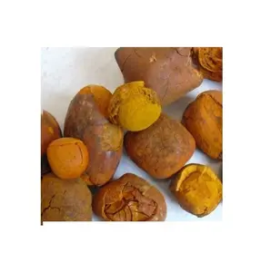High Quality Dried Cow Ox Gallstones / Cattle Gallstones At Cheap Price Manufacturer From Germany Worldwide Exports