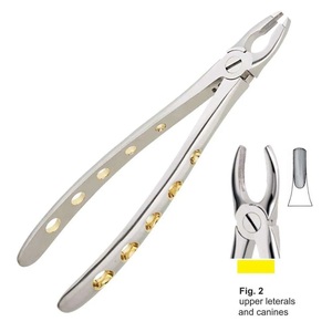 Fórceps de extracción de dientes manuales Instrumento dental Patrón inglés de acero inoxidable reutilizable para letras superiores y caninos - Product Image 3