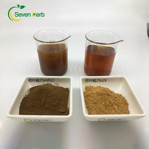 תמצית לוטוס עלה תמצית מזון טהור 2% טבעי 4% אבקת nuciferine - Product Image 2