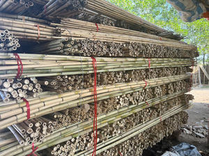 Tubo de poste de bambú duradero: diseñado para agricultura y construcción, de alta calidad de productores de Vietnam para exportación global - Product Image 5