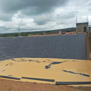 Forro de hdpe de gemembranas para mercado do lago <span class=keywords><strong>artificial</strong></span> da arábia saudita - Product Image 4