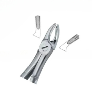 Forceps d'extraction dentaire Fig.39 L, manuel, en acier inoxydable de haute qualité, certifié CE, instruments dentaires avec logo personnalisé - Product Image 1