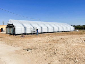 Grande serra a doppio strato con struttura a freddo a serra con mancanza di luce <span class=keywords><strong>e</strong></span> caratteristiche di oscuramento realizzato in materiale durevole in PE - Product Image 3