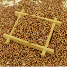 Graines de sarrasin brun biologique décortiquées de première qualité, sucrées, brutes et séchées, marque DE Origin YZF, en vrac 25/50 kg, à vendre - Product Image 6