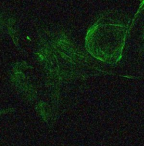 Bestscope BUC5IA-2000C 20MP USB3.0 Khoa Học Làm mát bằng kính hiển vi máy ảnh-15 ° C Peltier làm mát, tiếng ồn thấp cho huỳnh quang hình ảnh - Product Image 6