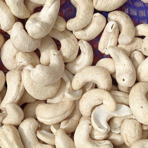 เม็ดมะม่วงหิมพานต์ดิบผลิต W240เม็ดมะม่วงหิมพานต์ถั่วมะม่วงหิมพานต์ส่งออกไปยังเอเชียยุโรปตะวันออกกลาง - Product Image 1