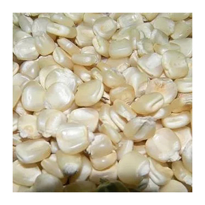 Maïs blanc NON OGM de qualité, vente en gros de haute qualité, nouveau meilleur matériel de fabricant avec des tarifs bon marché - Product Image 1
