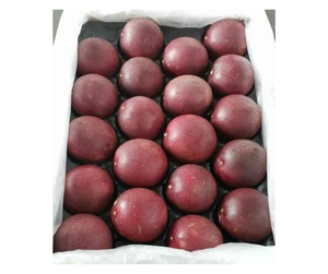Fruit de la Passion Frais du Vietnam de Qualité Supérieure pour les Acheteurs en Gros - Fruit de la Passion Violet pour la Consommation Fraîche et la Préparation de Jus - Product Image 2