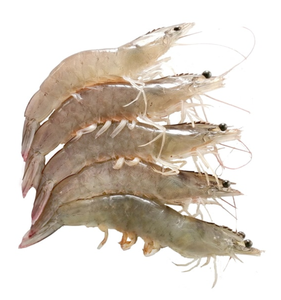 Caja de camarones Vannamei frescos congelados de exportación japonesa embalaje proceso IQF tipo camarón blanco igual que camarón tigre negro - Product Image 5