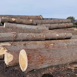Troncos de haya de primera calidad resistentes al agua respetuosos con el medio ambiente entrega rápida para construcción de muebles proyectos al aire libre stock de madera aserrada - Product Image 1