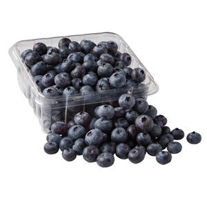 Vente en gros pas cher prix meilleure qualité fruits bleuets frais à vendre exportations dans le monde entier - Product Image 6