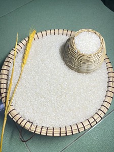 Alta Calidad Japonica Arroz Riz-Arroz-Calrose Riz-Arroz-Calrose Bulk Riz-Arroz-Calrose Grain court 1kg 2kg 5kg 25kg Envases - Product Image 2