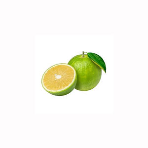 Limón Fresco Dulce, Fruta Cítrica de Primera Calidad, Cosecha de Granja, Venta al por Mayor a Granel, Exportación, Suministro Natural y Jugoso - Product Image 6