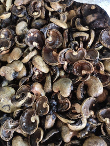 VENTE EN GROS EN VRAC COQUILLES DE NOIX DE CAJOU QUALITÉ NATURELLE DE QUALITÉ SUPÉRIEURE POUR L'EXTRACTION DE L'HUILE PRODUIT D'EXPORTATION HOT DEAL TOP VENTES MEILLEURE OFFRE - Product Image 6