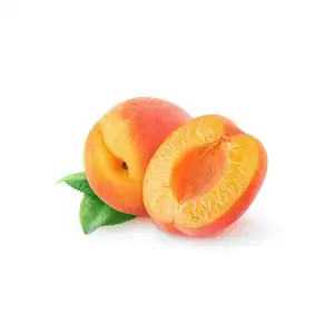 Grosir alami aprikot minyak biji Label pribadi rasa kelas terapi Chamomile menenangkan biji aprikot minyak
