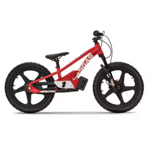 Nouvelle offre premium Incroyable Prix Chaud pour Marque Utilisé GasGas MC-E1.20 Jeunes ElectricMotorcycle - Product Image 1