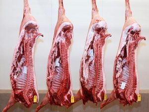 Carne de cerdo congelada de la más alta calidad, suministro directo, carne cortada de 3/6 vías, stock fresco a granel disponible, carcasa de 6 vías - Product Image 2