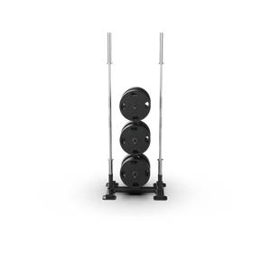 Qli Fitness Equipment QWT400 Stainless Steel <b>Weight</b> Plate Rack Durable Metal Frame Safety Indoor Gym <b>Storage</b> Organizing Training - Product Image 3