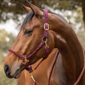 Fancy Leather Grooming Halter es de Working, que cuenta con herrajes de latón con costuras elegantes de colores - Product Image 6