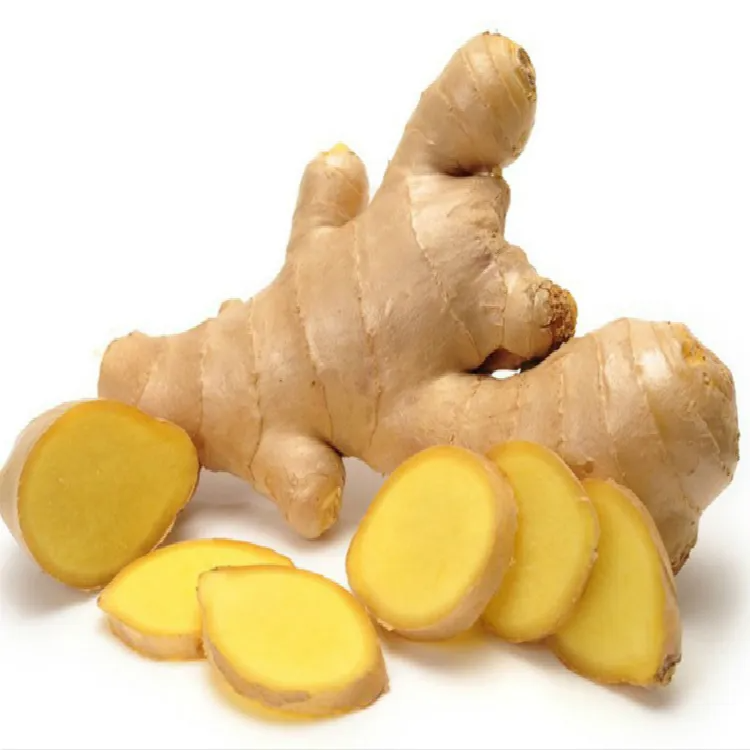Organic Fresh Ginger Premium Quality Bulk Export Non GMO Ginger for Supermarkets Distributors and Retail Markets