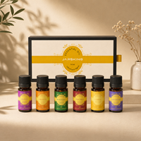 Lot de Bouteilles Vides en Verre pour Parfums Arabes, Diffuseurs à Bâtonnets, Flacons Cosmétiques à Vaporisateur et Compte-gouttes, Boîtes d'Emballage pour Oud – Achat en Gros