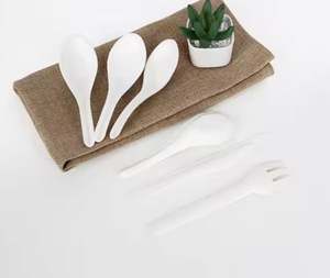 Cuchara de helado, almidón de maíz biodegradable, postre pequeño, cucharas de yogur de mango largo ecológicas, HMExport - Product Image 2