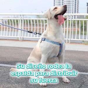 Lussuosa Pettorina per Cani di Piccola Taglia, Riflettente, in Nylon e Poliestere, Traspirante ed Elegante per Passeggiate, Disponibile nelle Taglie M, L, XL - Product Image 3