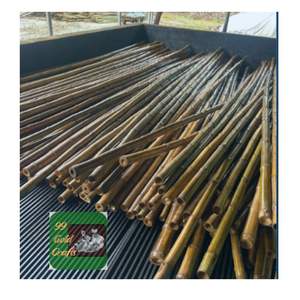 เสาหลอดไม้ไผ่ธรรมชาติความแข็งแรงสูงเวียดนามสำหรับโครงการสร้างงานหัตถกรรมและภูมิทัศน์ - Product Image 5