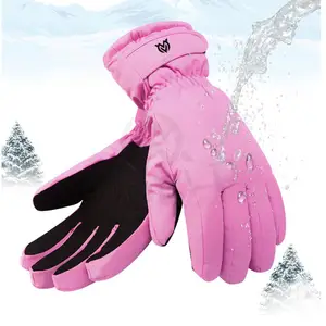 Personalizado Hot Sale Alta Qualidade Inverno Impermeável Windproof Sports Driving Ski Luvas Para Homens