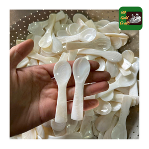 Cuillère en nacre pour artisanat en coquillage naturel Cuillère en nacre Mini cuillère en nacre pour service de condiments gastronomiques et affichage élégant - Product Image 6