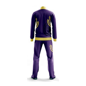 Survêtements d'hiver personnalisés de haute qualité pour hommes, taille plus, à capuche, style streetwear, 100% coton respirant - Product Image 3
