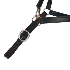 Halter de Entrenamiento Diario Premium, Hecho a Mano, Cómodo, de Cuero para Montura Inglesa, Ajustable, Duradero, Acolchado Suave, Diseño Elegante - Product Image 5