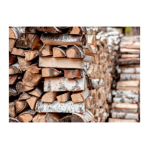 Bois de chauffage sec en hêtre/chêne Séché au four Bois de chauffage en sacs Bois de chauffage de chêne sur palettes d'une longueur de 25 cm, 33 cm Approvisionnement en vrac - Product Image 3